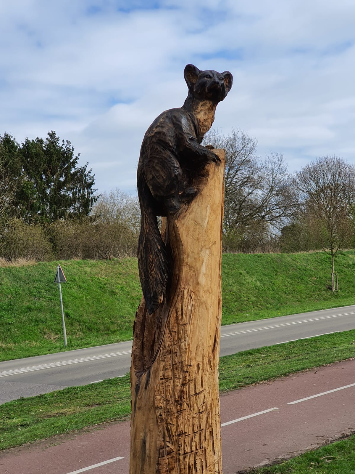 Beeldhoutwerk Closeup dier