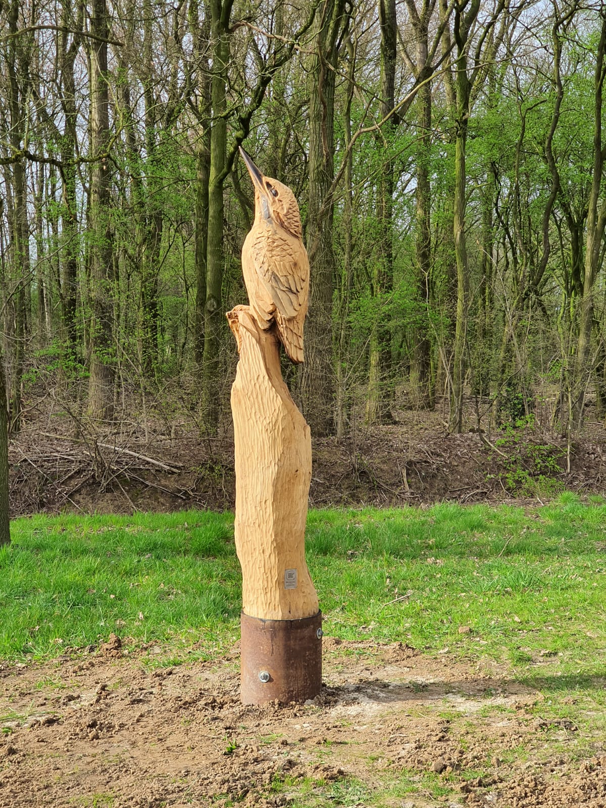 Beeldhoutwerk op buizen vogel